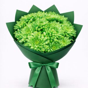yeşil papatya buketi
