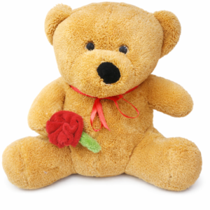 35 cm Kahverengi Peluş Ayı