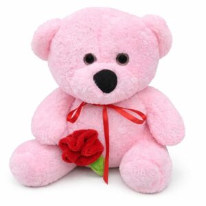 35 cm pembe peluş ayı Aksaray merkez aynı gün teslim – Şimal Çiçekçilik