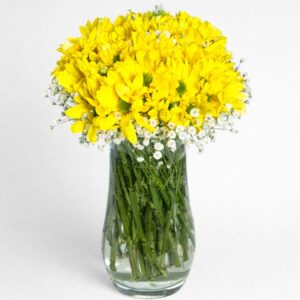 Cam Vazoda Sarı Papatya (2)