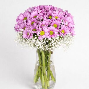 Cam Vazoda Pembe Papatya (2)