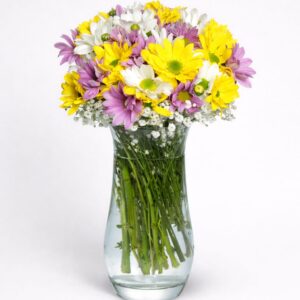 Cam Vazoda Renkli Papatya (2)